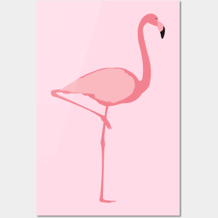 Flamingo Posters and Art
